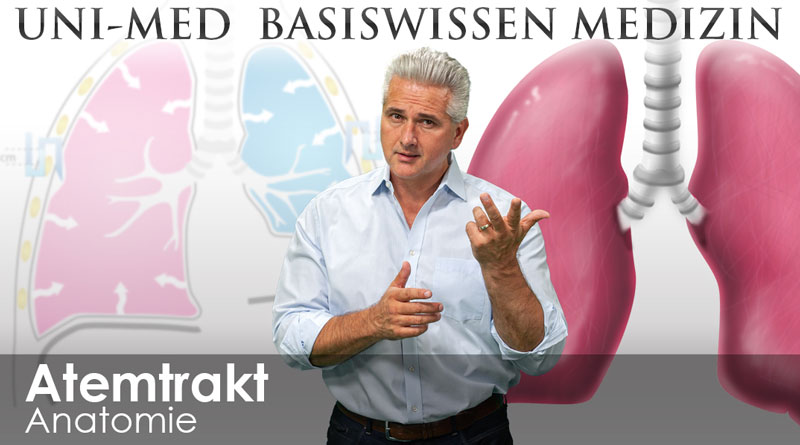 [Translate to Französisch:] Medizin Videokursen