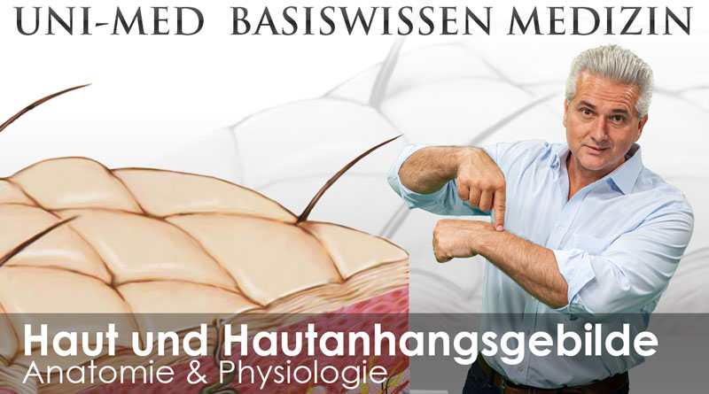 [Translate to Französisch:] Medizin Videokursen