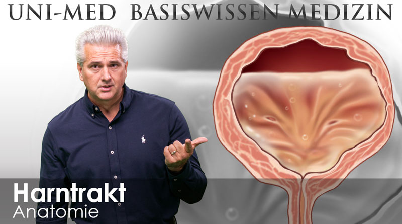 [Translate to Französisch:] Medizin Videokursen