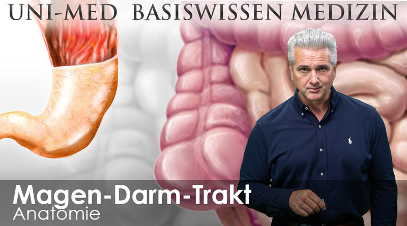 [Translate to Französisch:] Medizin Videokursen